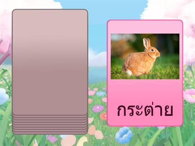 ไพ่สุ่มสัตว์ โดยนักเรียนชั้นม.1 เลขที่ 8 ,9 ,11 ,16 ,18