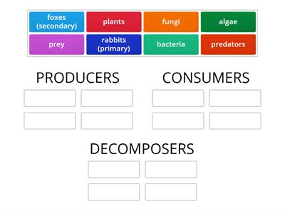 Food chains