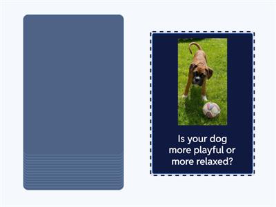 Dogs conversation. London Centre of English Wlodawa