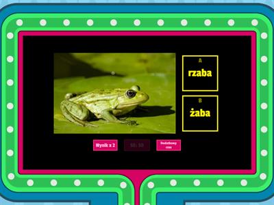 ortografia ż/rz h/ch