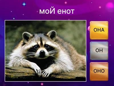 Ч.1. урок 6. Он-она-оно: мой-моя-моё 