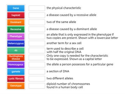 Yr11 Inheritance terms