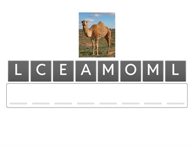 PAROLE CON LE DOPPIE