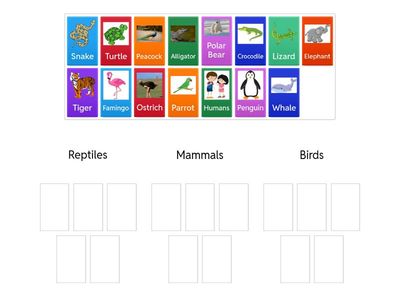Find my family: Reptiles, Mammals or Birds?