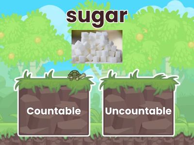 Countable and Uncountable Nouns