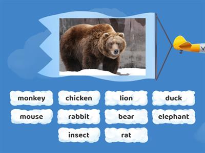 U-16 Vocab: animals