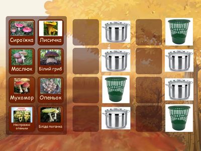 Херсон ЗДО №22 Галина Лебедєва Гриби їстівні, гриби отруйні