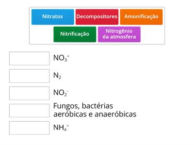 Ciclos biogeoquímicos