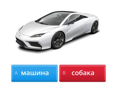 Ш, ж - простые слова