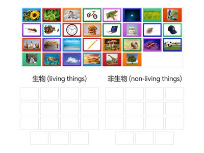 Living and Non-Living things