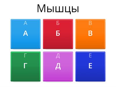 Биология 8 класс