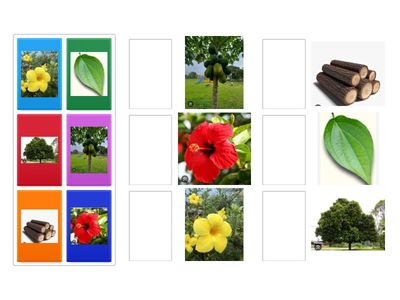 PADANAN GAMBAR YANG SAMA