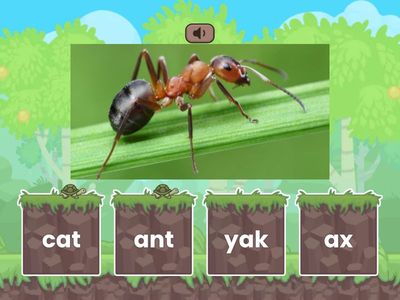 Boost Up Phonics UNIT 1 Lesson 1 a, am sounds