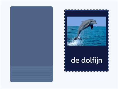 NT2 woordenschat | dieren | zoogdieren