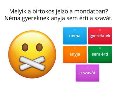 Birtokos jelző gyakorlás