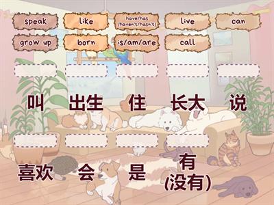 中文真棒B1L1-6 （Verb)