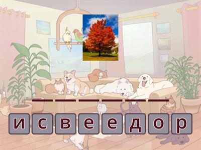 С1. мир вокруг нас.2.3.  Лексика