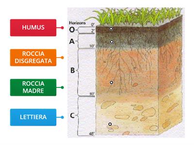 Gli strati del suolo