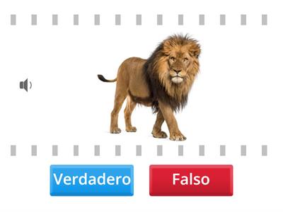 repaso ingles 4 años