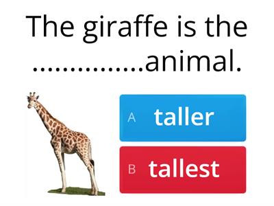 Comparative & Superlative