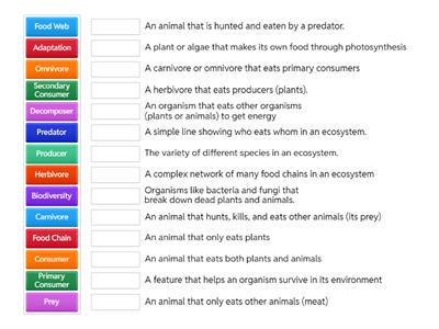 Y9 Ecology Terms