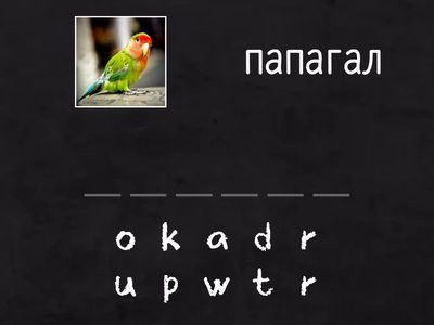 My picture dictionary, p.114 Spell