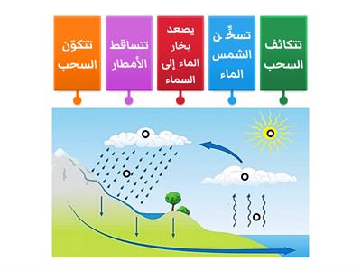   دورة الماء