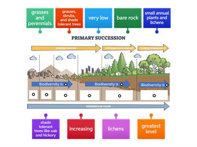 Primary Succession
