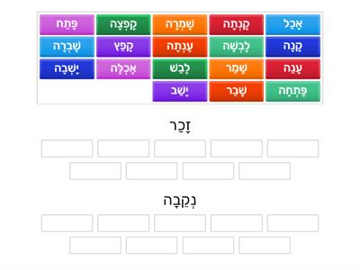 מיון לפי זכר ונקבה