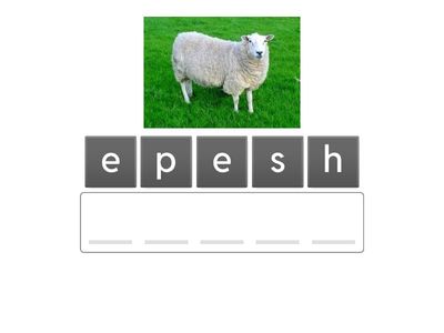 Копія дитячої коробки з 2 сільськогосподарськими тваринами