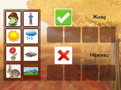 жива та нежива природа