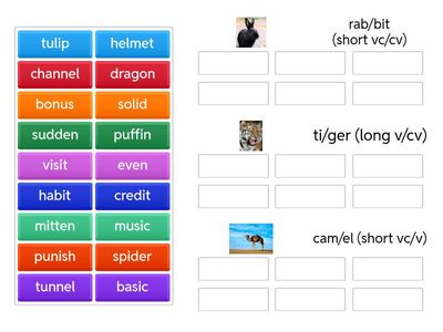 Rabbit/Tiger/Camel Syllables (Harper)