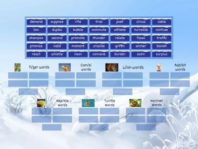 Syllable Division - Rabbit/ Reptile/ Tiger/ Camel/ Hornet/ Turtle / Lion