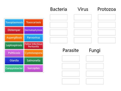 Causative of Infecious Diseases