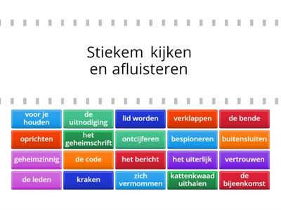 Staal Groep 5 Thema Geheimen