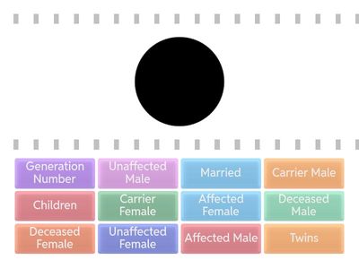 Pedigree Symbol Practice