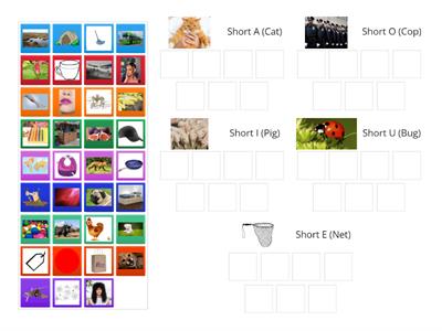 Medial Vowel Sound Sort