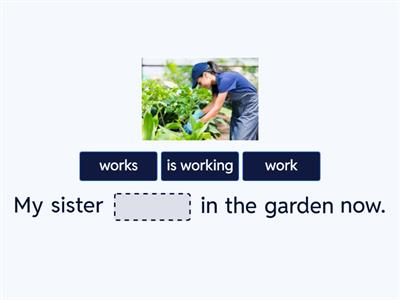 Present Simple or Present Continuous 