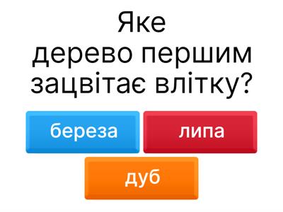 Природа влітку 2 клас