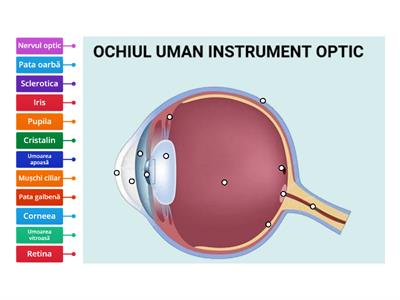  Ochiul uman - instrument optic