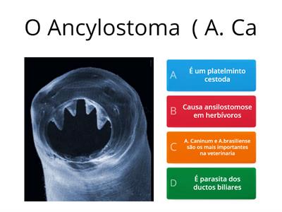 Parasitologia veterinária