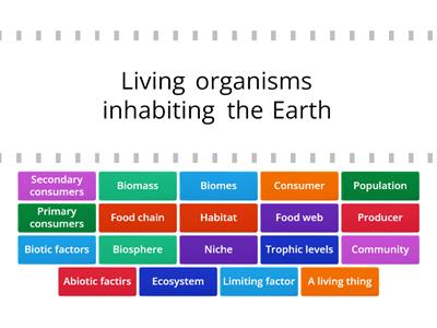 Ecology terminology