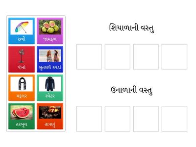ઋતુ મુજબ વસ્તુ ગોઠવો 