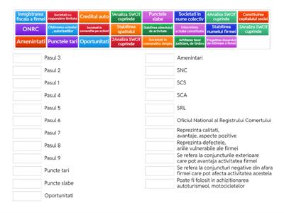 Infiintarea firmei XII