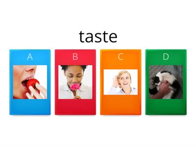 kid's box 1 unit 6 senses