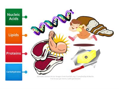 Biomolecules Images Labeling