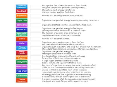 Energy Flow Vocabulary - Matching