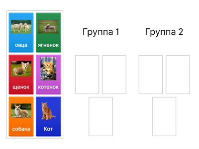 Найди для дивотного его детеныша 