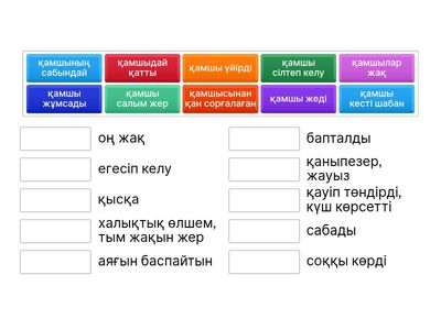 "Қамшы" сөзі қатысқан тұрақты тіркестердің мағынасын анықтаңдар.