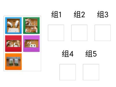 叶绿素提取科学小实验步骤